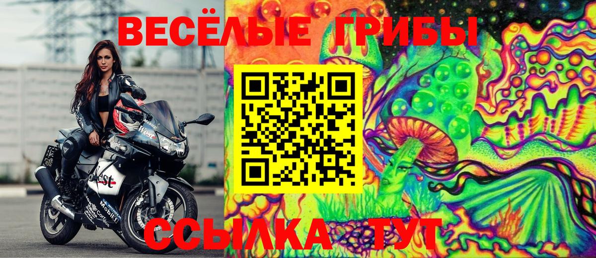 Галлюциногенные грибы GOLDEN TEACHER Шатура